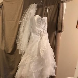 Wedding Dress and Veil